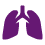 Заболевания органов дыхания и ЛОР-органов